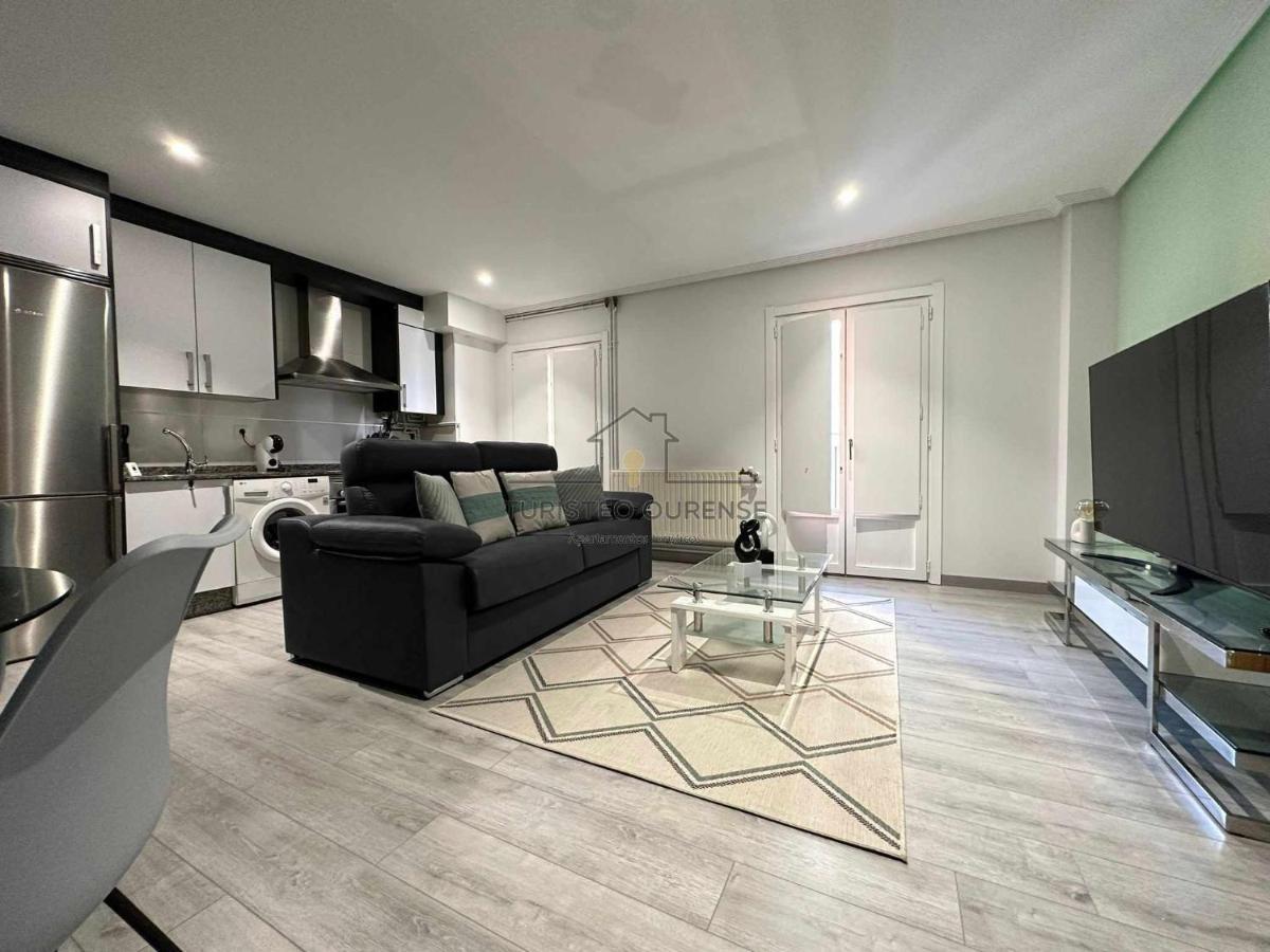A Morada Camelias Apartment Ourense